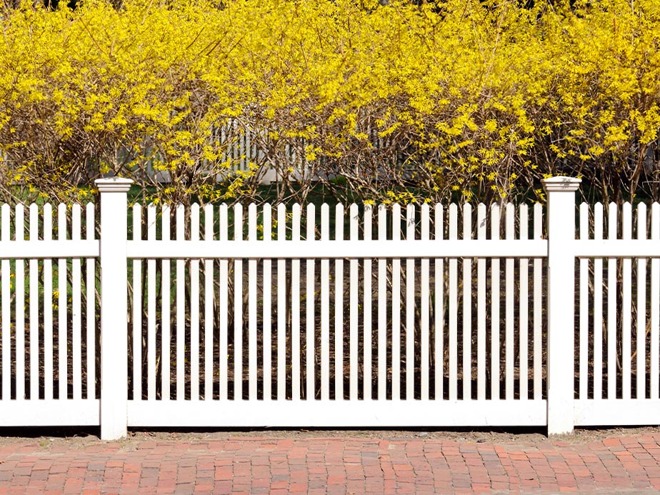 Jefferson Georgia Fence Company